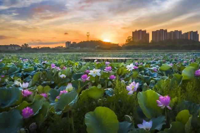 13-桂水早晨-胡伟煌 摄_副本.jpg