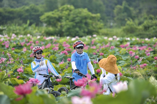 08-打卡荷花村-文剑良 摄_副本.jpg