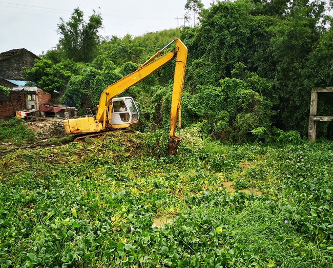 20200607 淡村应急清理水浮莲3_副本.jpg