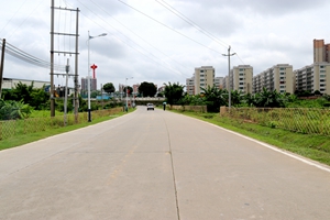 微实事3：城西庇厚村、龙边村周边道路旁增设绿植、篱笆，美化周边人居环境2_副本.jpg