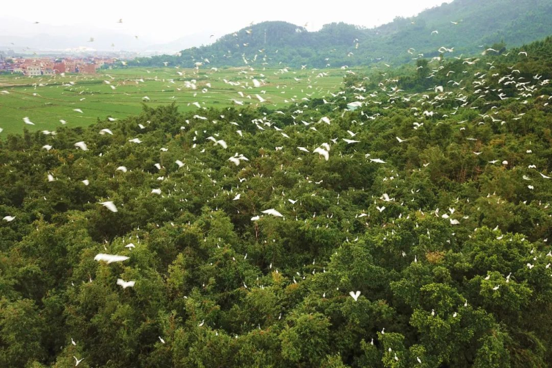 已编辑图片