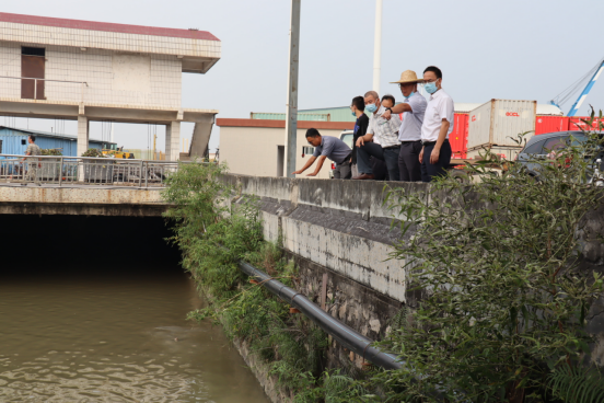 市水利局联合江门市生态环境局台山分局督导潭江牛湾国考断面水质治理攻坚工作488.png