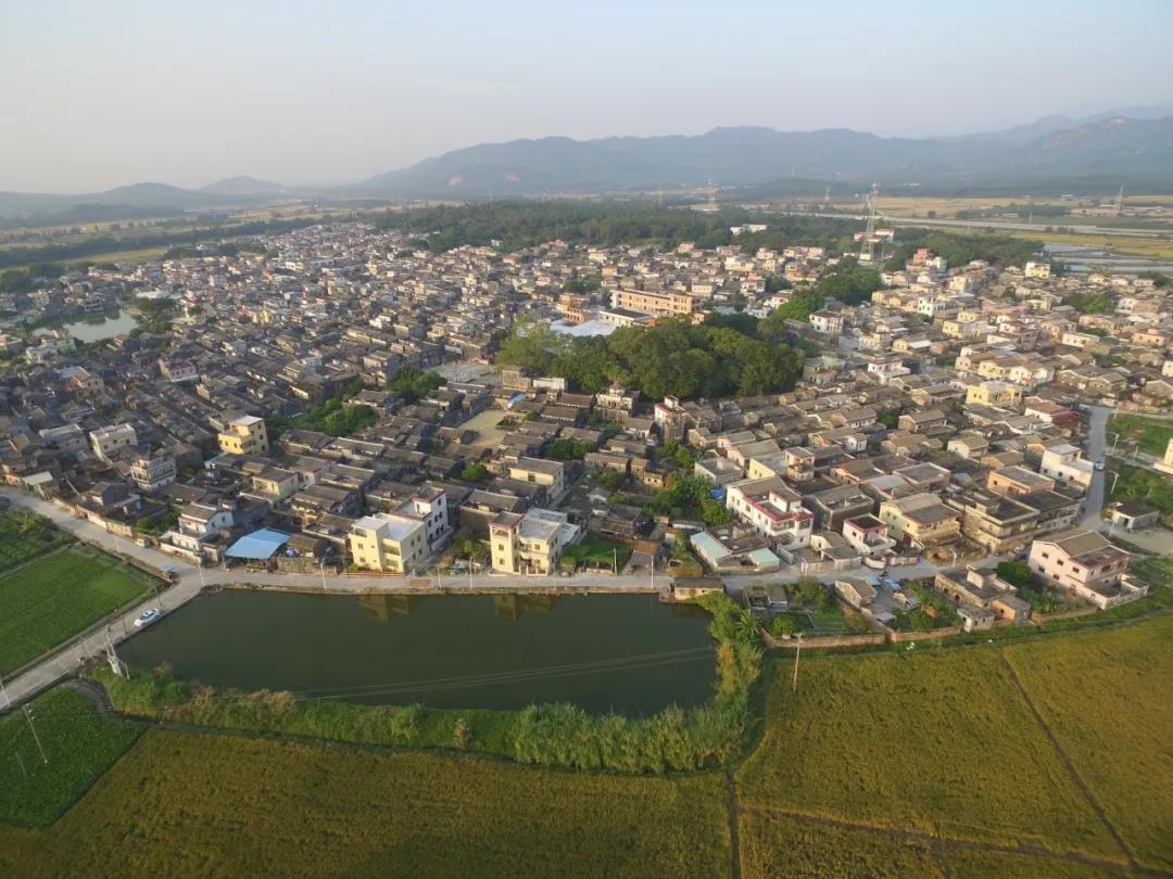 斗山镇浮石村全景（斗山镇政府供图）.jpg