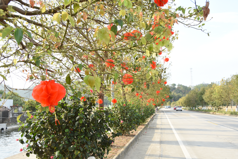 2020年1月21日，春节前夕，北陡镇在海湾路悬挂灯笼.JPG