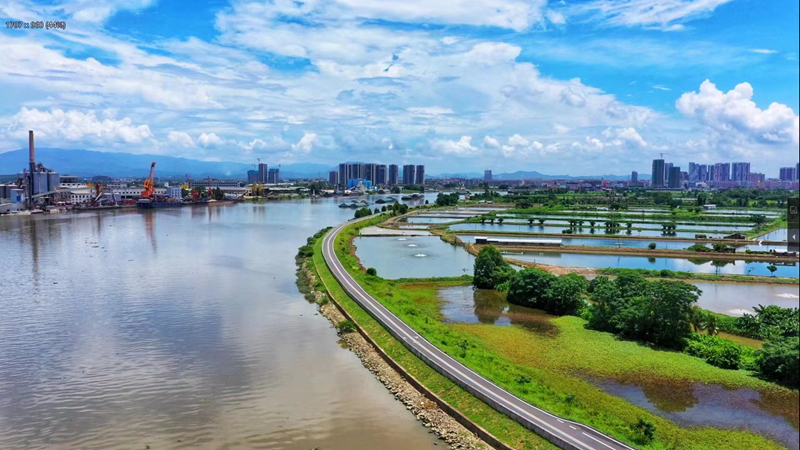 水清流畅、岸绿景美，这是大江最靓丽的风景线.jpg