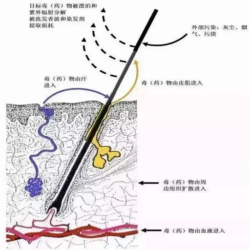 微信图片_20230807110207_副本.jpg