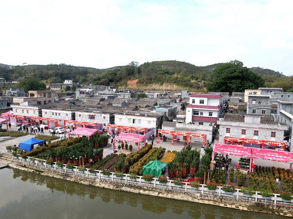 桂水迎春花市现场 DJI_0036_副本_副本.jpg