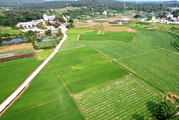 南坑村(1).jpg