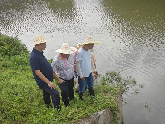 迎风而上，台山市水利局拉紧防台风防线513.png