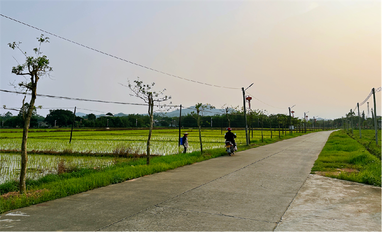 大岭植树后.png